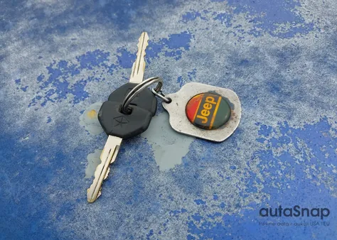 1995 Jeep Cherokee Se z USA, uszkodzony, nr VIN 1J4FJ28S5SL670549